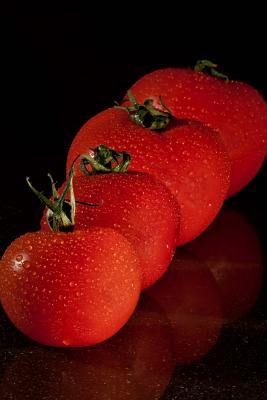 Read online The Tomato Journal: 150 Page Lined Notebook/Diary - NOT A BOOK | ePub