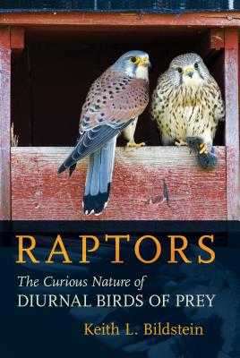 Download Raptors: The Curious Nature of Diurnal Birds of Prey - Keith L. Bildstein file in PDF